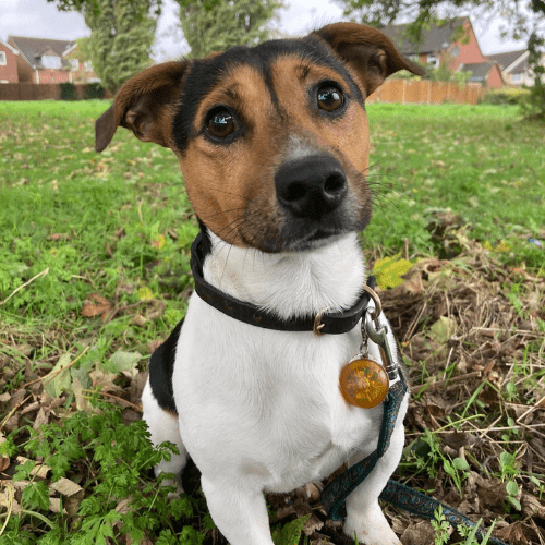 Kathryn Bell - Finance Officer