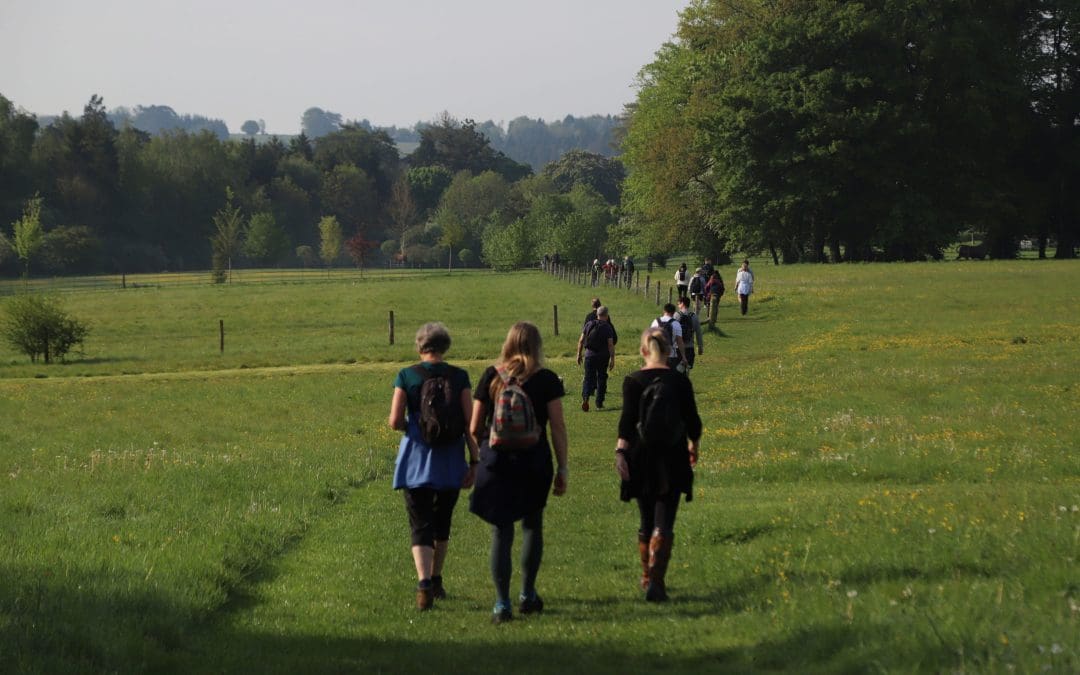 A group of people walking in a field away from the cameraman