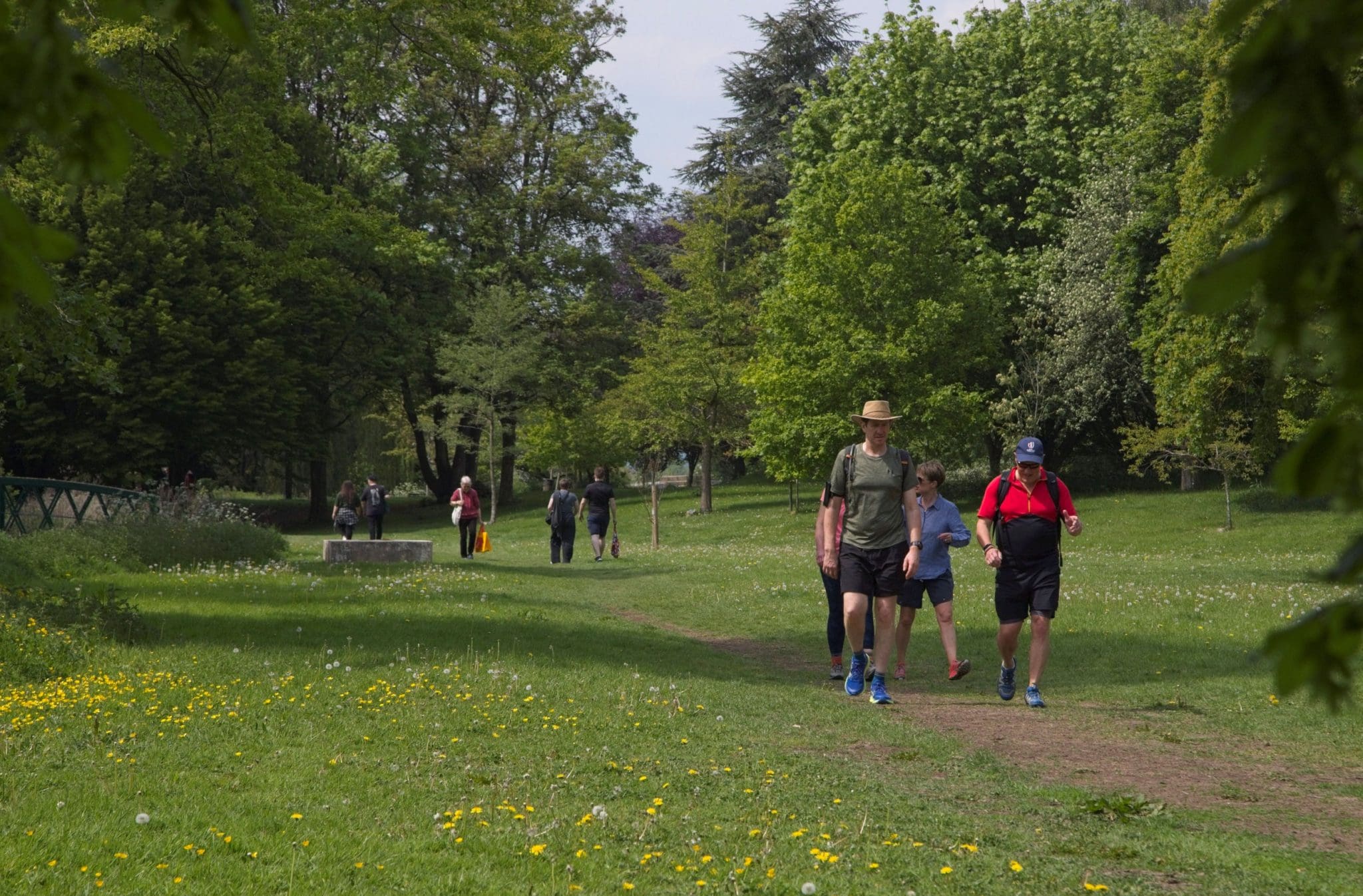 Family walking through park